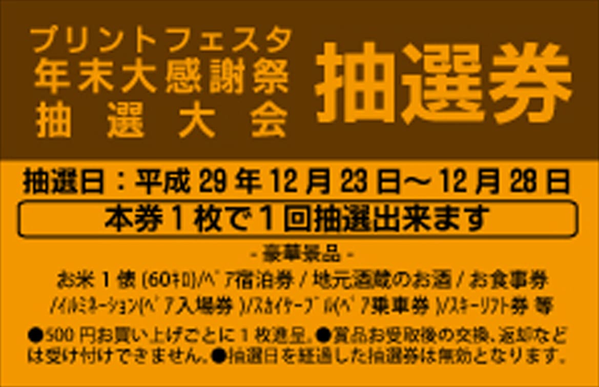 クーポン券作成 割引券印刷 チケットの作成はプリントフェスタが激安 デザインテンプレート